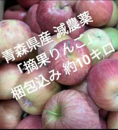 青森県産 減農薬 摘果りんご 柔らかいりんご 梱包込み 約10キロ