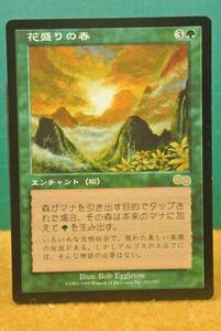 ＭＴＧ　花盛りの春　日