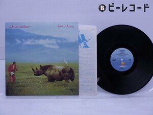 Adrian Belew「Lone Rhino」LP（12インチ）/Island Records(25S-48)/洋楽ロック