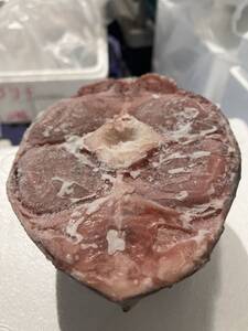 マグロ 尾肉皮付き 約２kg （1個約1kg）稀少 塩焼き 煮物 からあげ 最高に美味