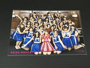 初代恵比寿マスカッツ 特典 集合生写真 逆走アイドル 吉沢明歩 希志あいの Rio 麻美ゆま 佐山愛 初音みのり かすみ果穂 瑠川リナ 西野翔 他