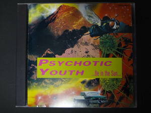 PSYCHOTIC YOUTH /...be in the sun 国内盤 CD パワーポップ POP PUNK サイコティック・ユース buckshots yum yums sonic surf city beat