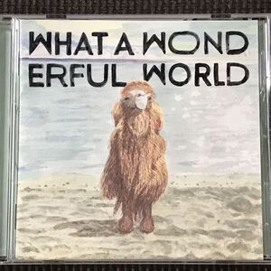 堀込泰行 What A Wonderful World 