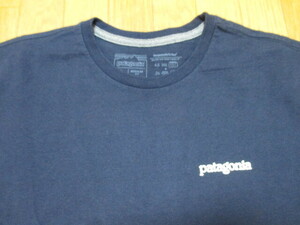 ★patagonia パタゴニア　Tシャツ/サイズ・L