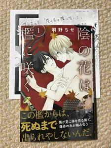 即決★陰の花は檻に咲く★1巻★羽野ちせ★ペーパー2種付