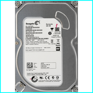 Seagate ST250DM000-1BD141-501 DP/N 0YVMKX 3.5インチ SATA600 250GB 1200回 10222時間