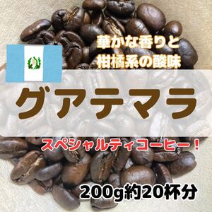 【自家焙煎珈琲200g/20杯分】グアテマラ カフェ・ピューマ/ウォッシュド/スペシャルティーコーヒー