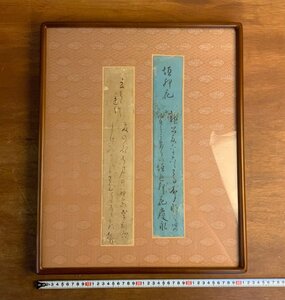 BA992 ■送料込■ 松平慶永 橘曙覧 短冊 まとめて 額装 江戸時代 肉筆 書 松平春嶽 大名 歌人 幕末 美術品 1.6kg /くJYら