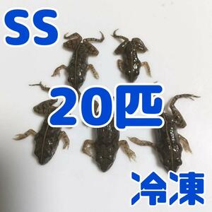 【国産】冷凍カエル 餌用 SS 20匹 胴長1.5~2cm ヌマガエル ヘビ用 @67.5円