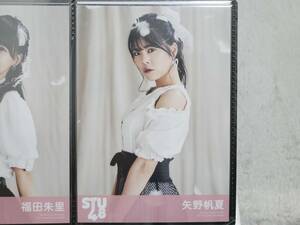 【激安】 STU48 ヘタレたちよ ☆矢野帆夏☆ 通常盤 生写真