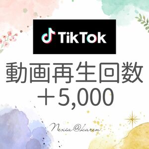 【TikTok動画再生回数+5000回 特典付き】インフルエンサーやYouTuber向け自動宣伝・拡散ツールの紹介