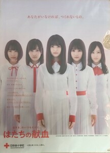 齋藤飛鳥 山下美月 与田祐希 堀未央奈 星野みなみ はたちの献血　(Ａ４サイズ) クリアファイル 同梱可