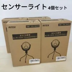 RITEX あちこち簡単センサーライト　ショコラブラウン