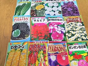 即決種たねタネ10点セット食用種花種食品種10種セットコロナ災害たんくろう新金色町ピーターコーンポンポン日草野菜種セット 