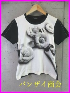 【送料300円可】8250s6◆良品です◆日本製◆INGEBORG インゲボルグ 半袖ストレッチカットソー Tシャツ S/ブラウス/ピンクハウス/ワンピース