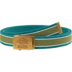 Teal Supreme Dickies Stripe Webbing Belt