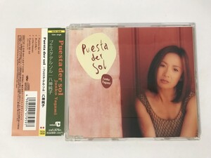 TN911 八神純子 / Puesta der sol 【CD】 1115