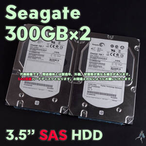 【SGsas300-b1/b2】Seagate 3.5インチHDD(SAS) 300GB ST3300657SS SAS接続【2台セット/動作中古品/送料込み】