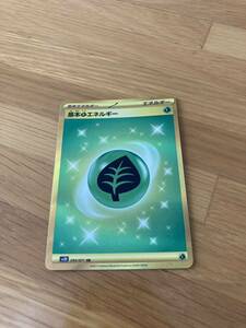 ポケモンカード 基本草エネルギー　新品