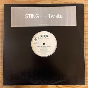 STING/STOLEN CAR(TAKE ME DANCING)/feat.Twista/レコード/中古/DJ/club/hiphop/R&B