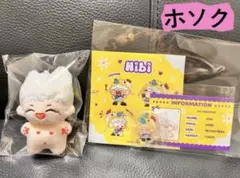 btsぬいぐるみ　ホソク　7.5センチ　マスター