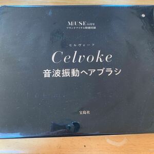 オトナミューズ 2022年11月号付録 Celvoke セルヴォーク 音波振動ヘアブラシ ※単4形乾電池2本が必要 電池無し 