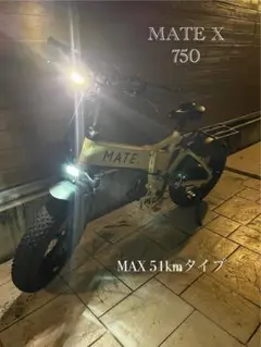 MATE BIKE 250 日本未販売 MAX35km スロットル外してお渡し