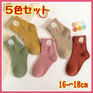 【16～18cm】靴下　ソックス　花柄　子ども 女の子　女子　5足セット くすみカラー おしゃれ ショート丈 可愛い ワンポイント