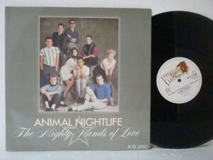 12★ANIMAL NIGHTLIFE/The Mighty Hands Of(Disco/AOR/ネオアコ)