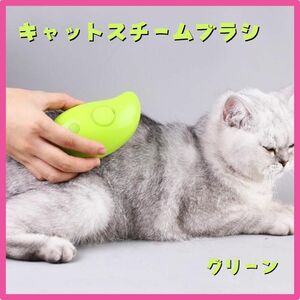 キャット スチームブラシ グリーン USB充電 マッサージ 犬 猫 ブラッシング 緑