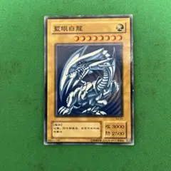 遊戯王　藍眼白龍　ノーマル　ブルーアイズホワイトドラゴン