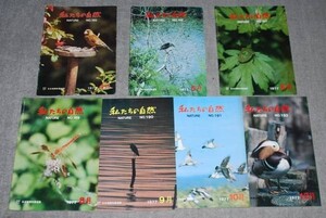 q178】鳥　私たちの自然 日本鳥類保護連盟 1979年　（欠2,4,6,7,11月号)　計7冊