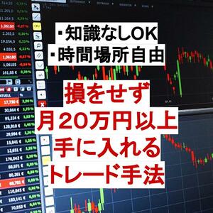 FX 損をせず月２０万円以上手に入るトレード手法 