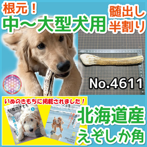 ■ 中～大型犬用 ■ 天然 北海道産 蝦夷鹿の角 ■ 根元部分 半割り 1本 ■ 犬のおもちゃ ■ 鹿の角 犬 無添加 エゾシカ ツノ 46111