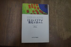 ●ミトコンドリアが進化を決めた　ニック・レーン　斉藤隆央訳　田中雅嗣解説　みすず書房　定価4180円　2008年