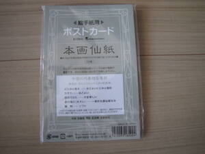 絵手紙用ポストカード 本画仙紙 中国 手漉き単宣 10枚　マルマン　S135A