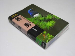 Glp_371927　野鳥　山渓ポケットガイド7　吉野俊幸