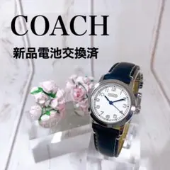 美麗レディースウォッチ女性用腕時計海外ブランド Coachコーチシルバー2538