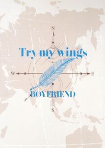 Try my wings(初回限定盤)(CD+DVD)/BOYFRIEND