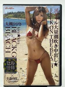 DVD/大槻ひびき/kira☆kira BLACK GAL BEACH 黒ギャル大量潮吹き中出し☆FUCK ON THE BEACH/kira☆kira/BLK-088