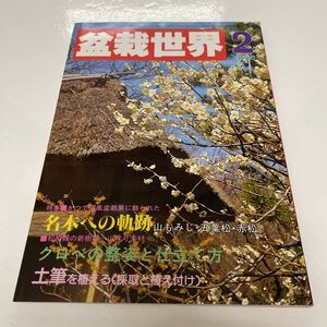 盆栽世界 1986年2月号 名木への軌跡 山もみじ・五葉松・赤松 クロベの整姿と仕立て方 土筆を植える