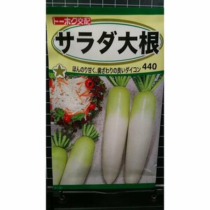 ３袋セット サラダ 大根 ダイコン 種 郵便は送料無料