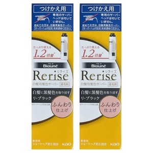 リライズ 白髪用髪色サーバー リ ブラック ふんわり仕上げ 付け替え専用 190g 2個セット