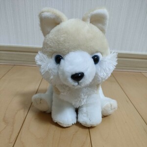 未使用品　アミューズメント景品★ぬいぐるみ★もふっとオオカミ お座りポーズ ベージュ