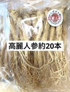 高麗人参（姿）約20本 厳選長白山産そのまま乾燥 野生環境露地栽培 朝鮮人参姿