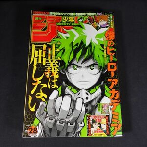 241120【匿名配送】週刊 少年ジャンプ 2018年 28号 僕のヒーローアカデミア