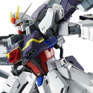 バンダイスピリッツ ＭＧ 1/100 エールストライクガンダム Ｖｅｒ．ＲＭ用 (中古品)