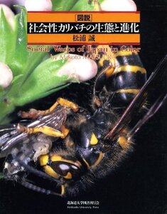 【中古】 図説社会性カリバチの生態と進化