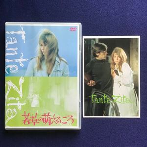 DVD★ セル版！ 若草の萌えるころ ロベール・アンリコ ジョアンナ・シムカス フランソワ・ド・ルーベ フランス語 スペイン市民戦争