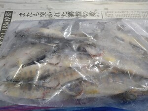 栃木県　日光市天然山女魚(ヤマメ)冷凍　(1キロ) 唐揚　塩焼き　甘露煮等！